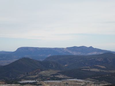 Vue Nereda