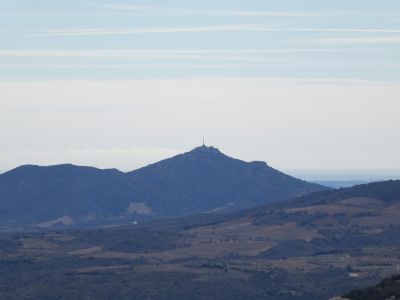 Vue Força Real