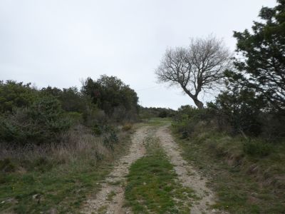 Croisement montée sommet 1 2