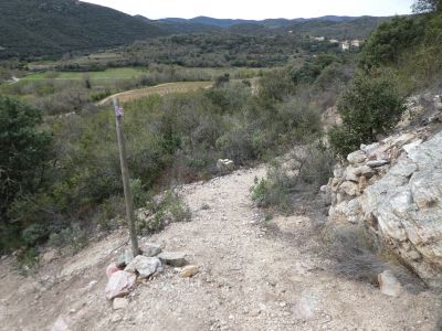 Croisement Garrigue Roque