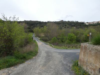 Croisement après Vignes