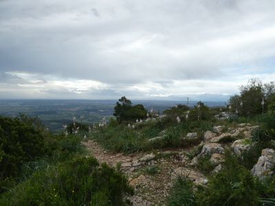 Croisement sommet