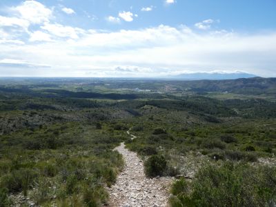 Vue sentier retour