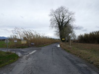 Intersection Arlésienne