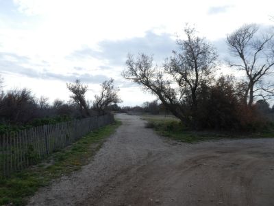 Croisement Soulsoure 2