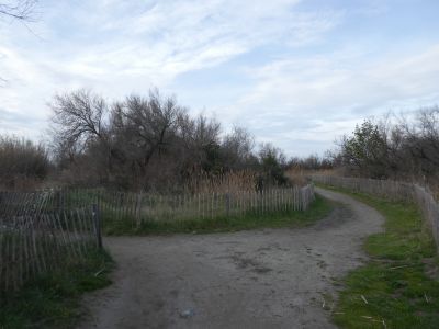 Croisement Soulsoure 3