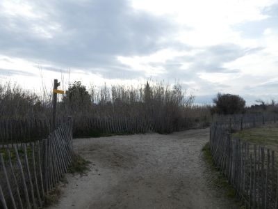 Croisement Soulsoure 4