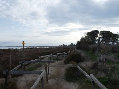 Croisement Soulsoure 6