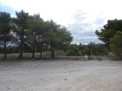 Croisement piste Estremera