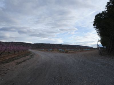 Croisement Planal