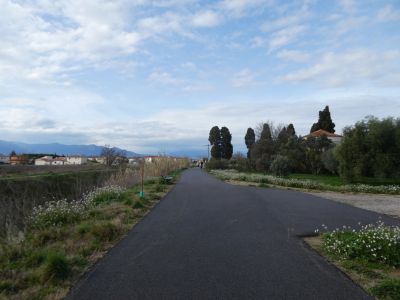 Croisement Paradis