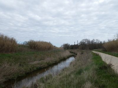 Vue Fossella