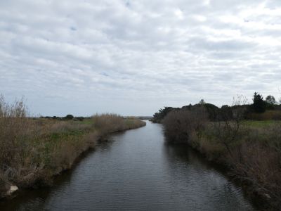 Vue Fossella 2