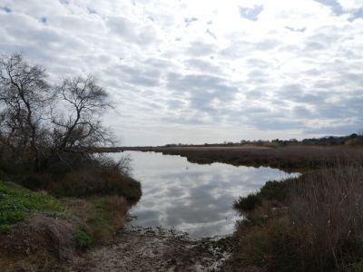 Vue marécages