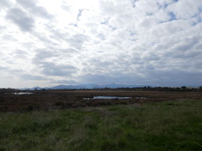 Vue Albères 2