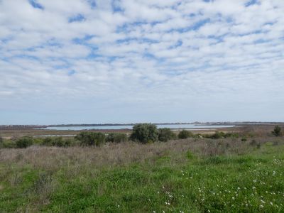 Vue Etang Canet