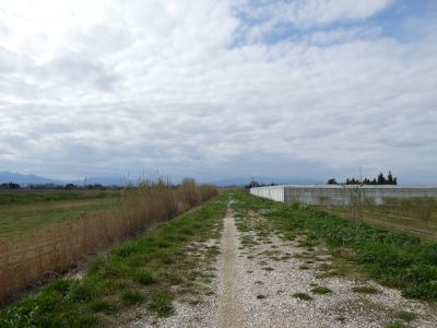 Vue sentier Réart