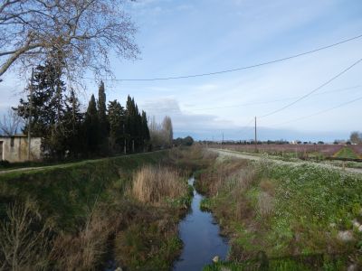 Vue Agulla 2