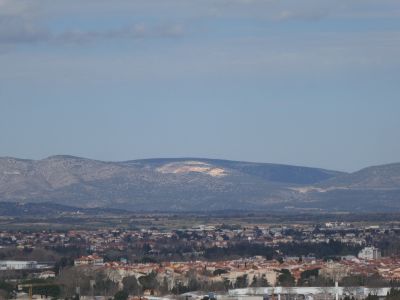 Vue Nereda
