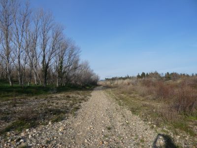 Vue Réart