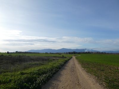 Vue Albères