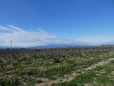 Vue Canigou 2