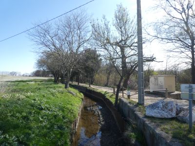 Vue Rec Perpinyà