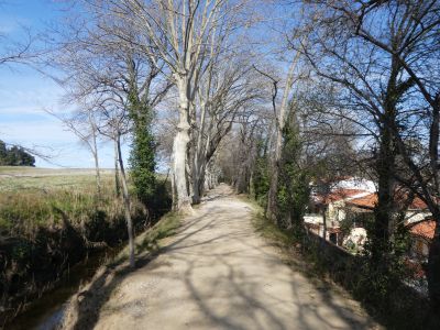 Vue sentier Canals