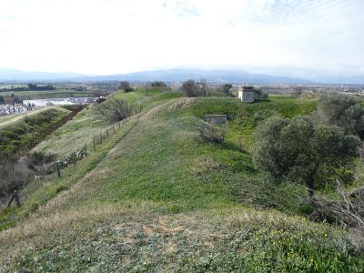 Descente
