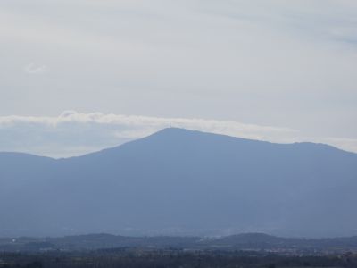 Vue Neulós
