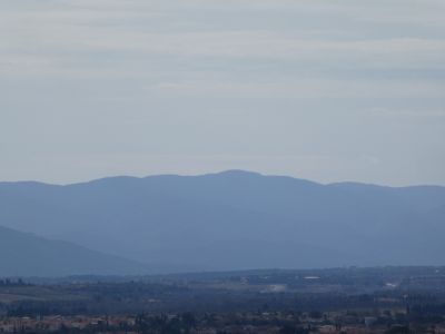 Vue Forcat