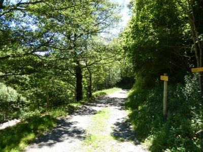 Croisement sentier Siern