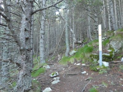 Enrée Réserve Prats