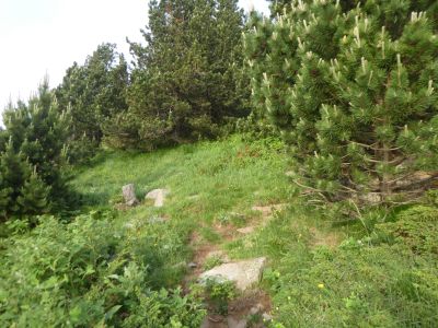 Croisement après Cirera