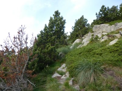 Vue montée Pèl 2