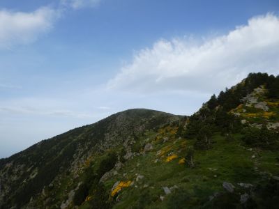 Vue Cincreus