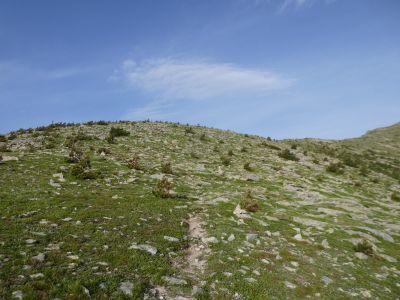 Vue montée Cincreus