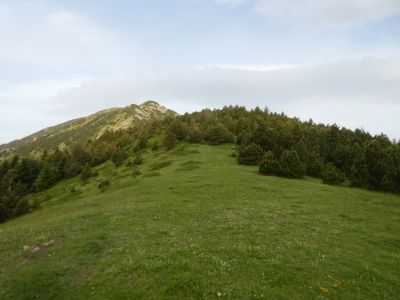 Coll Cirera