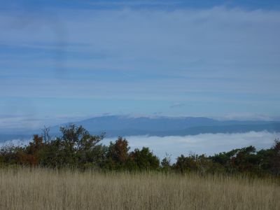 Vue Ventoux 2