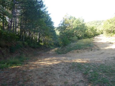 Croisement piste Vaunière