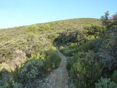 Vue Chemin Roumagoua