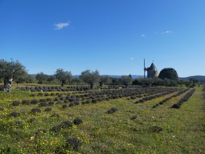 Vue Moulin Badelle