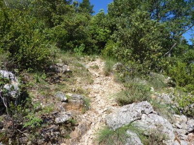 Vue chemin montée Gautier