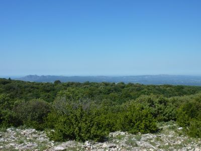 Vue Alpilles