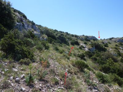 Vue montée Castelas 2