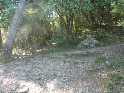 Croisement sentier Gautier