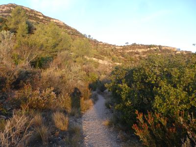 Vue sentier Benet