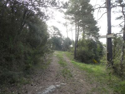 Croisement Sobrepuny / Vilada