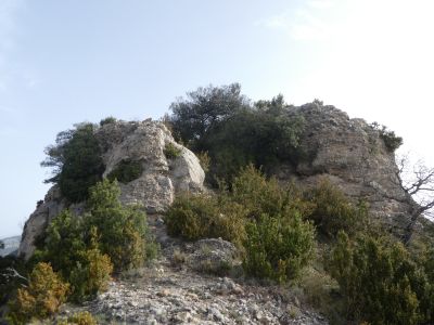 Vue Tastanós