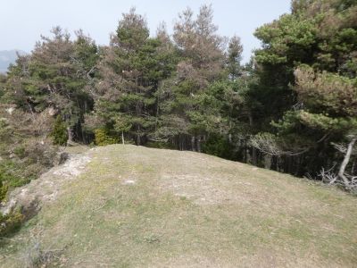 Descente Sobrepuny